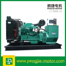 Fujian Weifang Motor AC Trifásico Brushless Diesel Generador Precio en la India